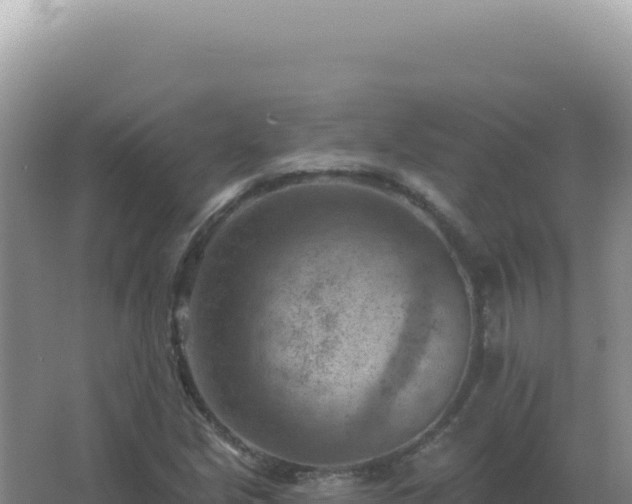 X0000067511213200604150125