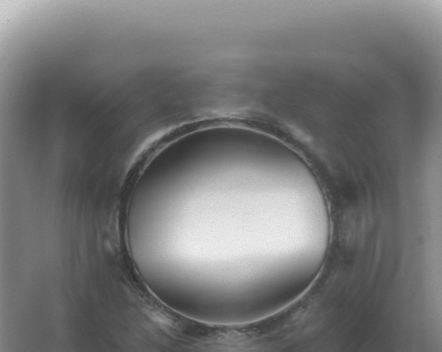 X0000067511214200604150125