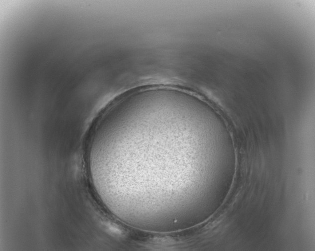 X0000067511215200604150125