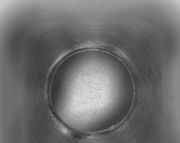 X0000067511216200604150125