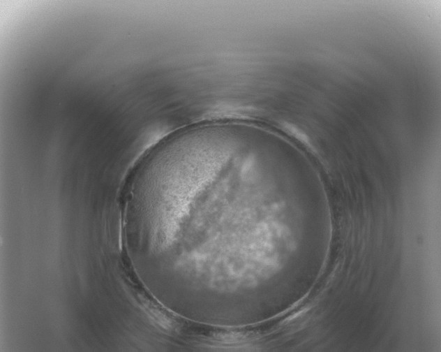 X0000067511219200604150125