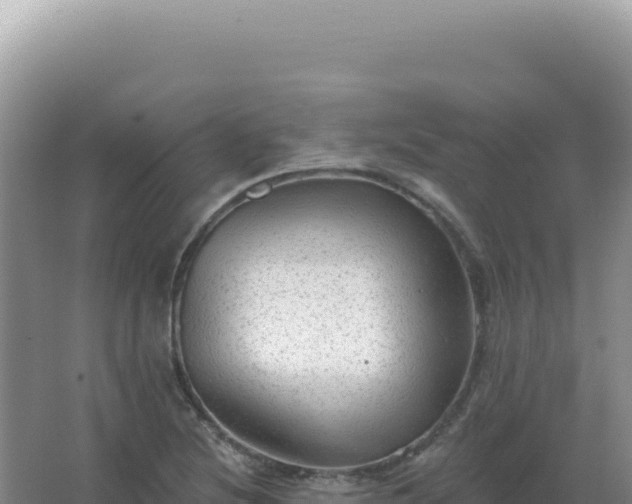 X0000067511220200604150125