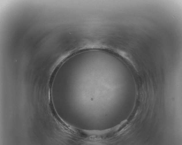 X0000067511221200604150125