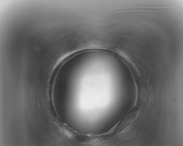 X0000067511222200604150125