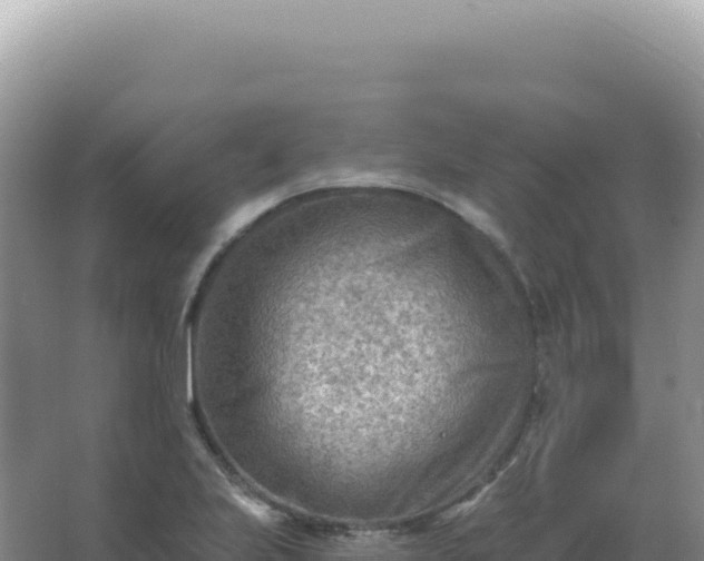 X0000067511223200604150125