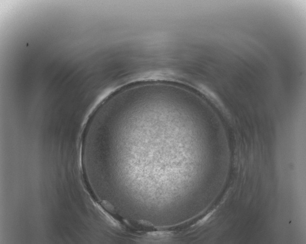 X0000067511224200604150125