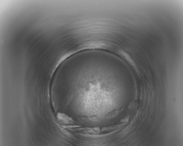 X0000067511226200604150125