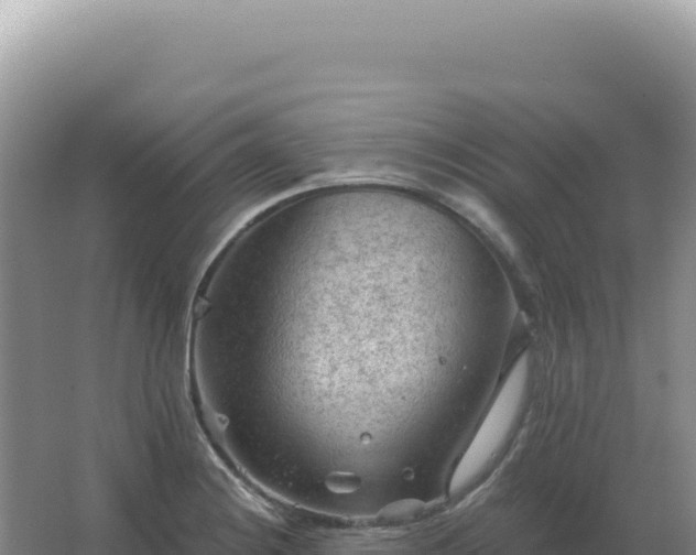 X0000067511228200604150125