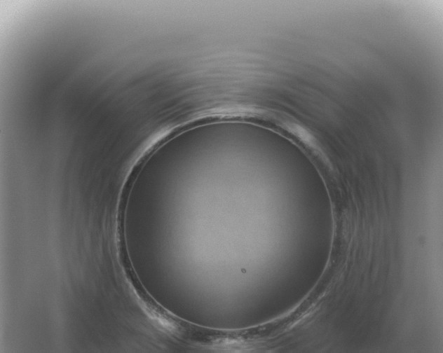 X0000067511229200604150125