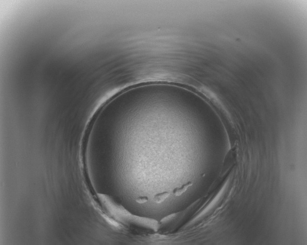 X0000067511230200604150125