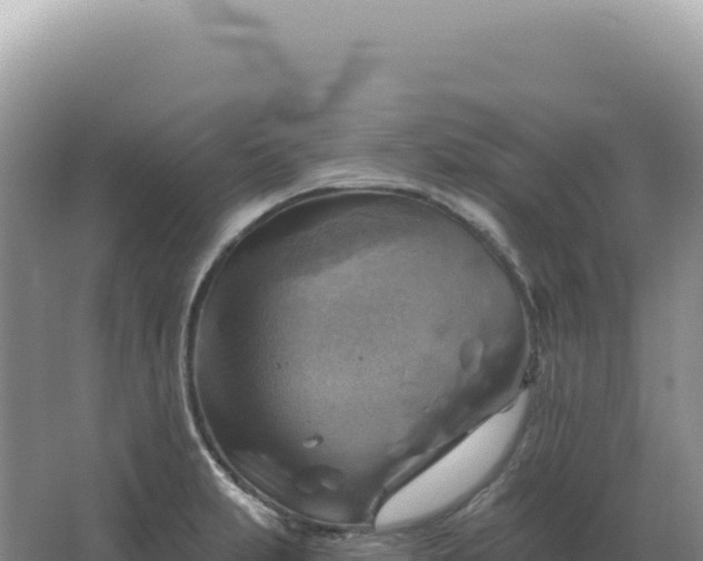 X0000067511231200604150125