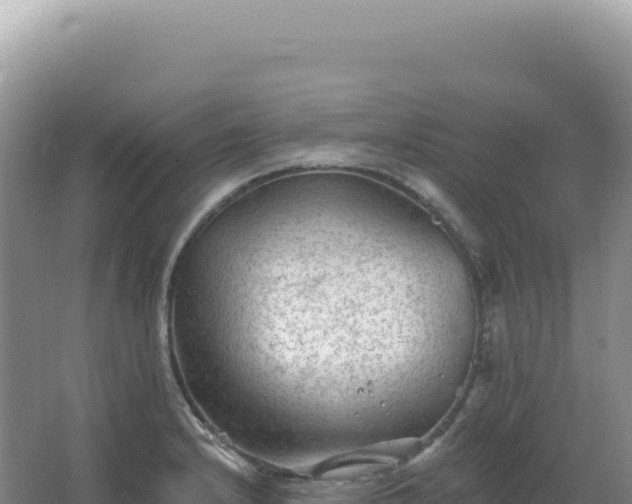 X0000067511232200604150125