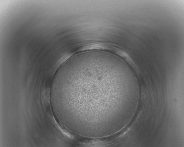 X0000067511233200604150125