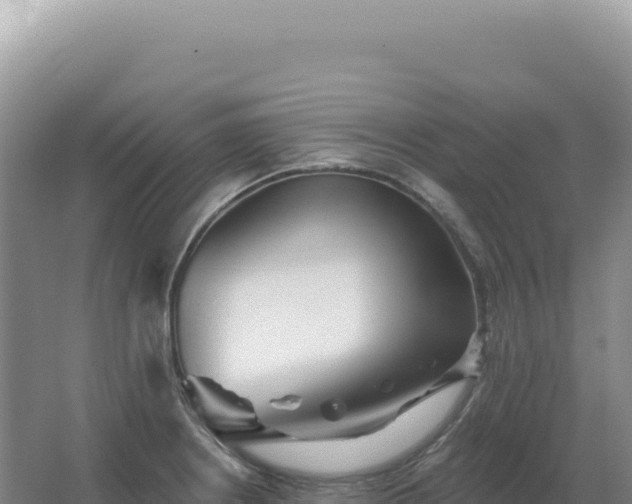 X0000067511234200604150125