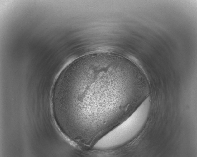 X0000067511235200604150125