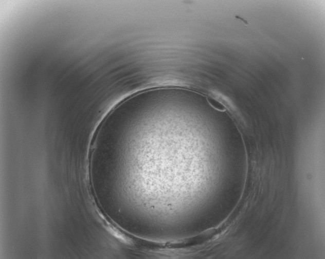 X0000067511236200604150125