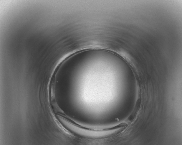 X0000067511238200604150125