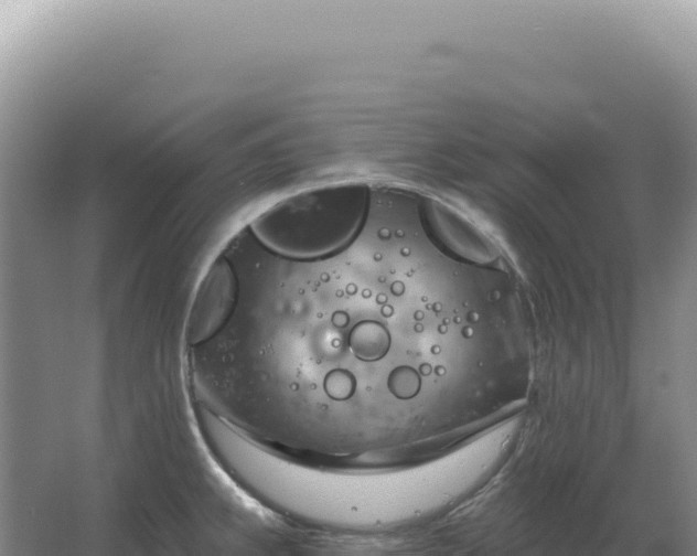 X0000067511239200604150125