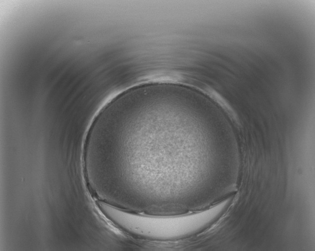 X0000067511240200604150125