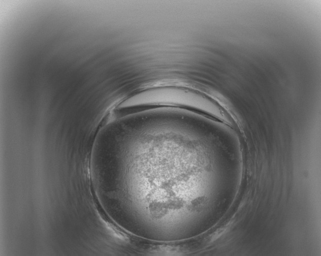 X0000067511241200604150125