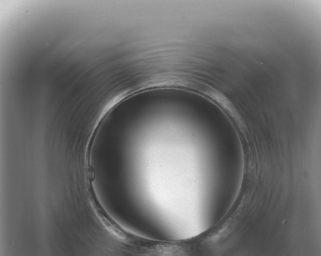 X0000067511242200604150125