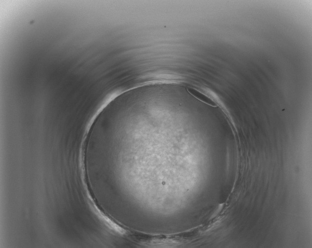 X0000067511243200604150125