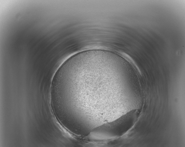 X0000067511244200604150125