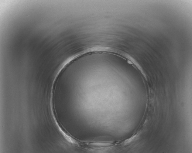 X0000067511245200604150125