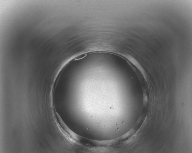 X0000067511246200604150125