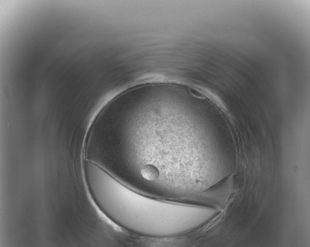 X0000067511247200604150125