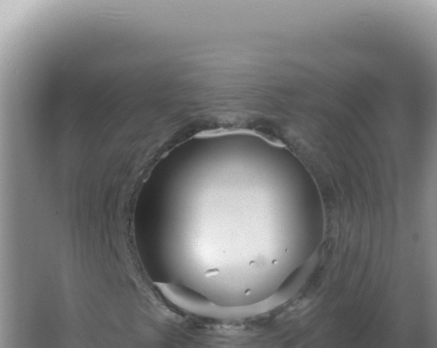 X0000067511249200604150124