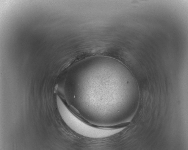 X0000067511250200604150124