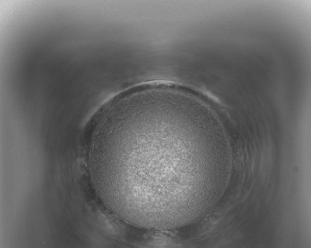 X0000067511255200604150124