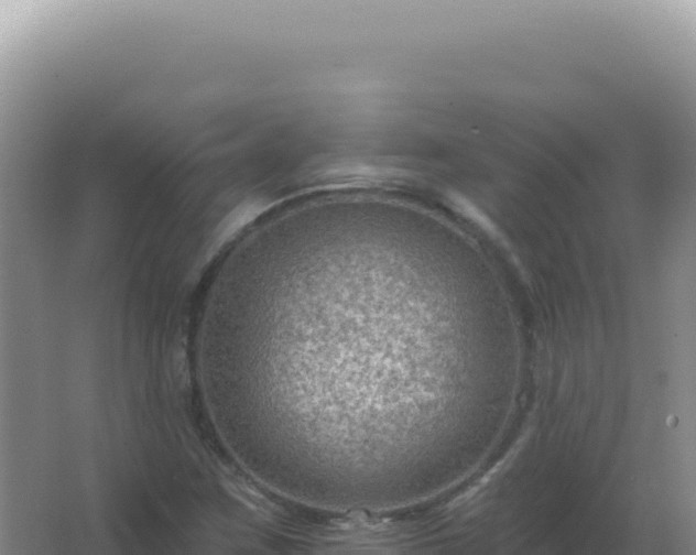 X0000067511259200604150124