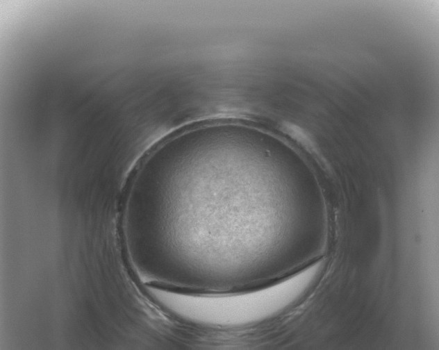 X0000067511260200604150124