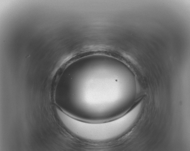 X0000067511261200604150124