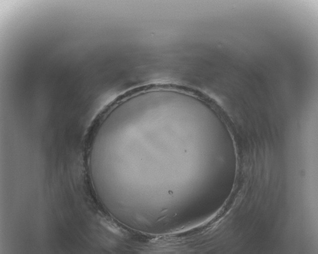 X0000067511263200604150124