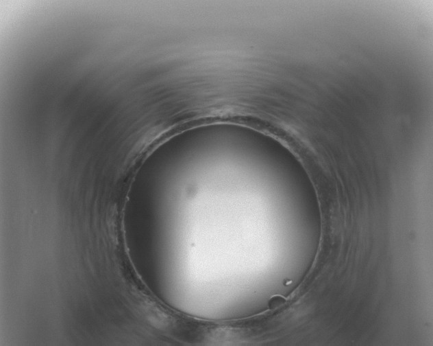 X0000067511265200604150124