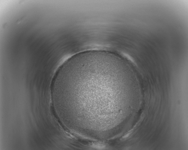 X0000067511267200604150124