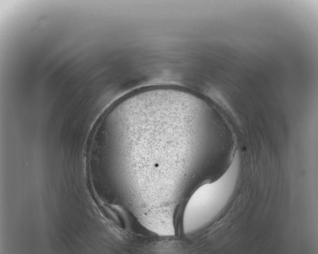 X0000067511268200604150124