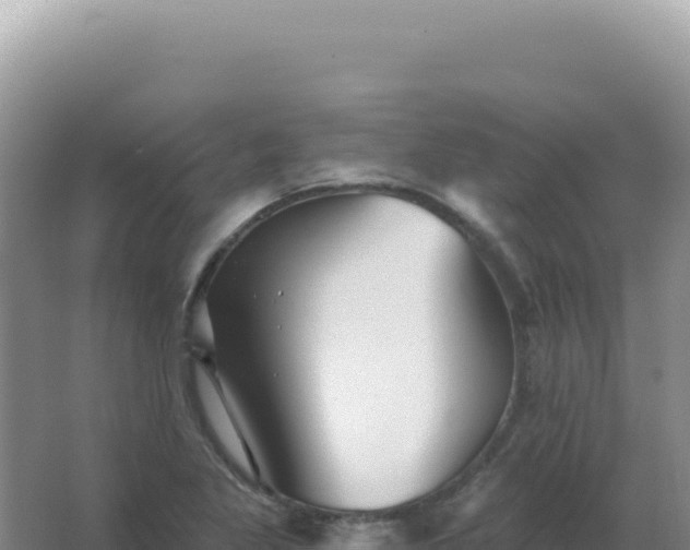 X0000067511269200604150124