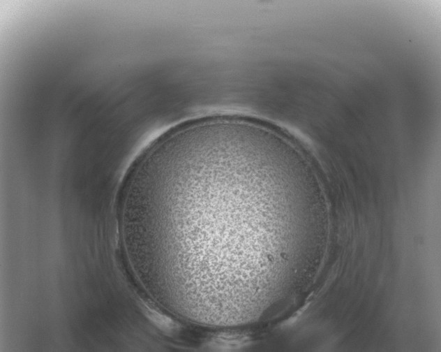 X0000067511271200604150124