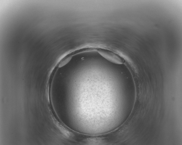 X0000067511272200604150124