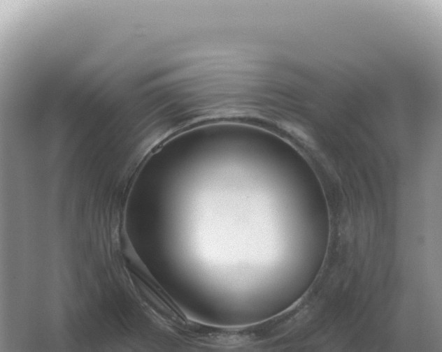 X0000067511273200604150124