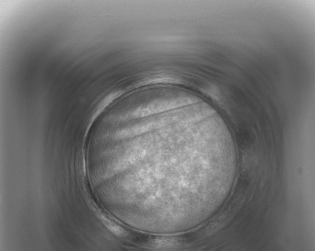 X0000067511274200604150124