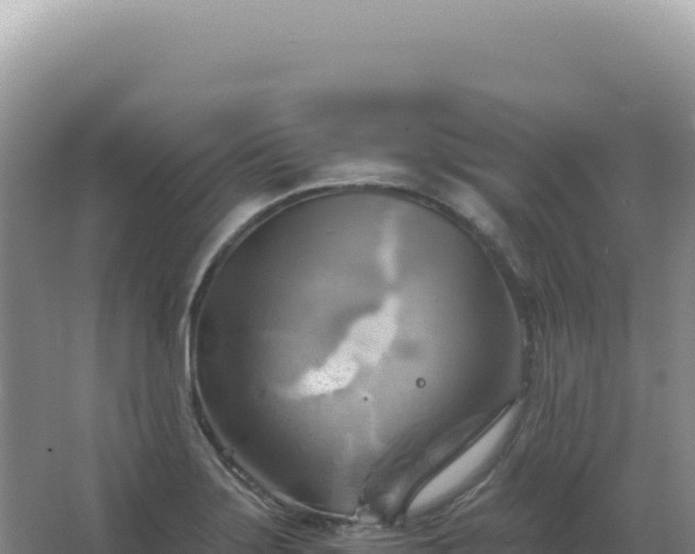 X0000067511275200604150124