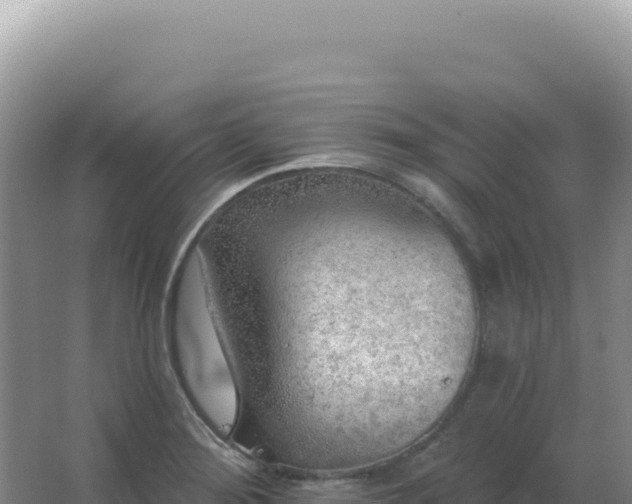 X0000067511276200604150124