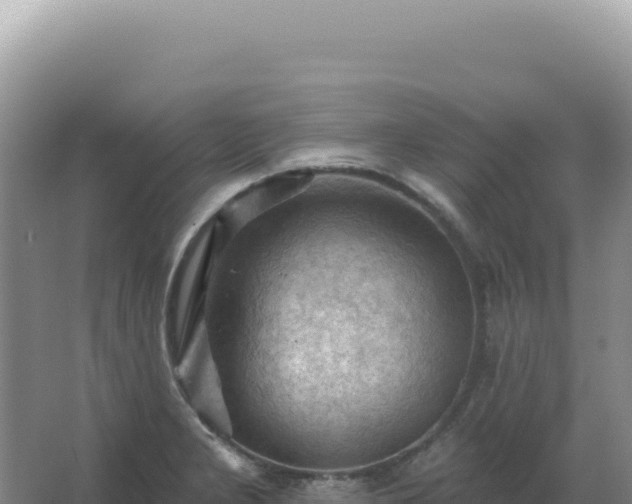 X0000067511277200604150124