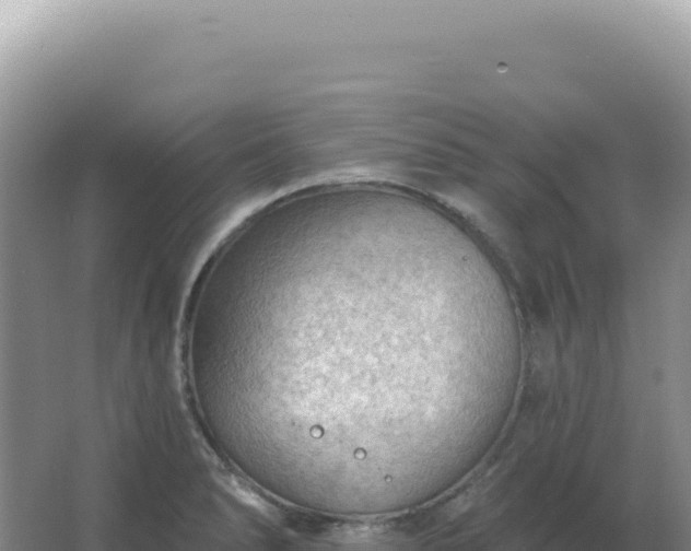 X0000067511278200604150124