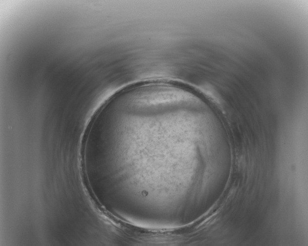 X0000067511279200604150124